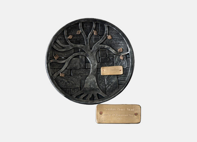 ����һ������(�й�)����