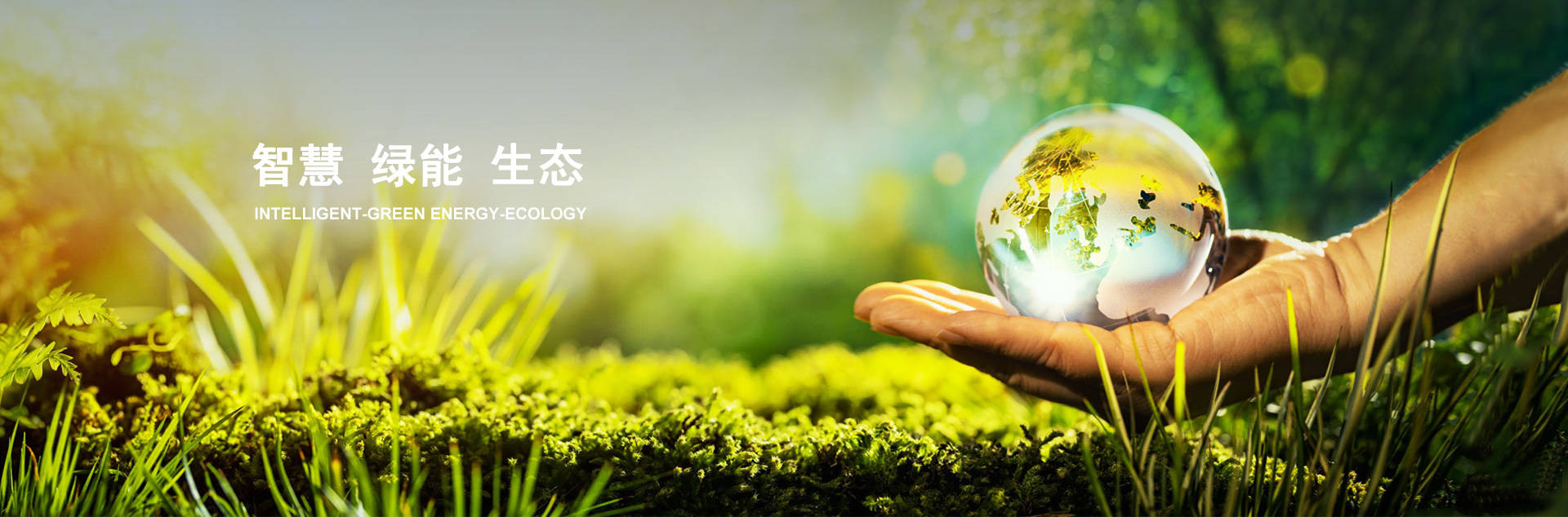 ����һ������(�й�)����